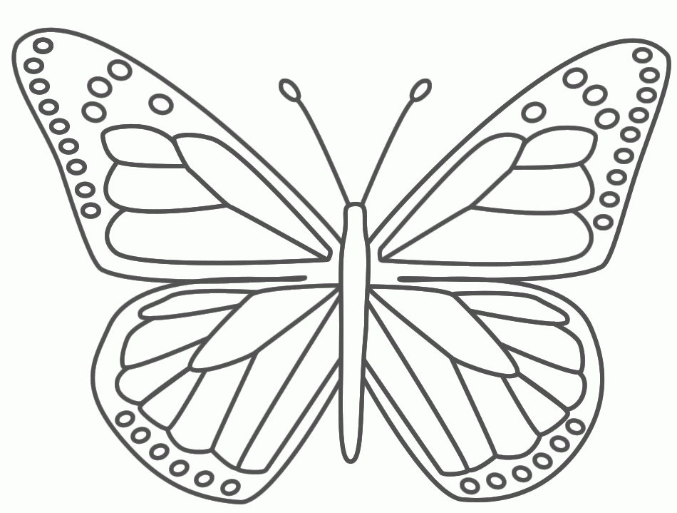 butterfly-coloring-page-0127-q1