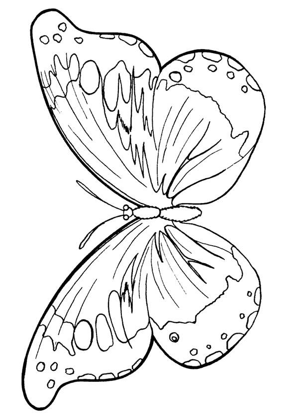 butterfly-coloring-page-0131-q2