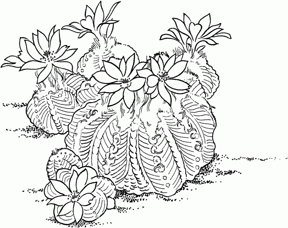 cactus-coloring-page-0002-q1