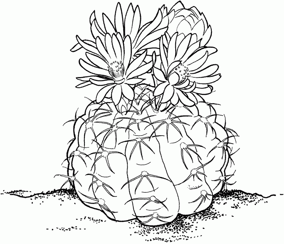 cactus-coloring-page-0005-q1
