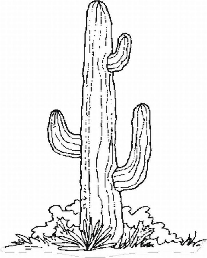 cactus-coloring-page-0019-q1