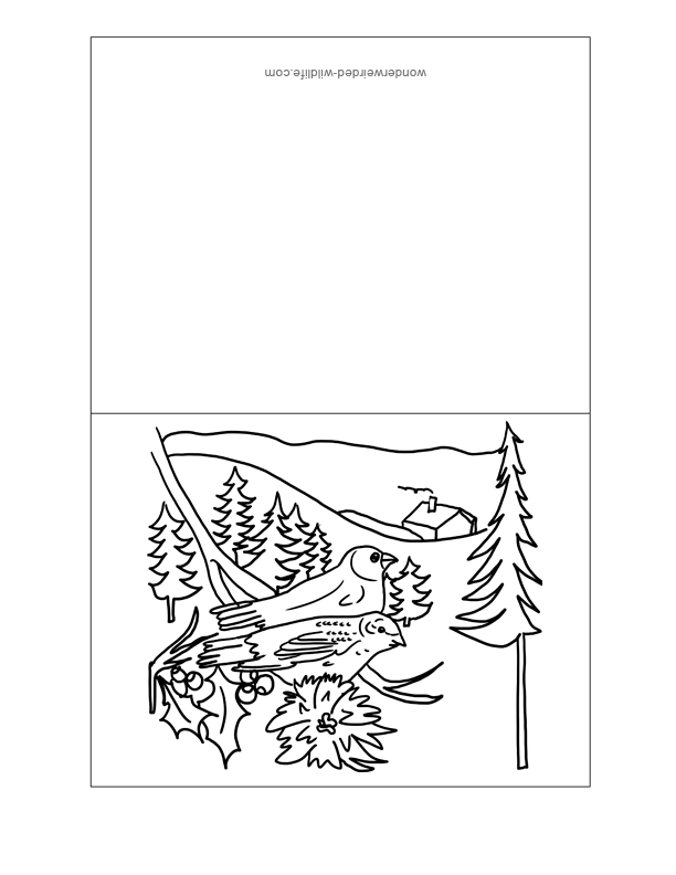 card-coloring-page-0103-q1