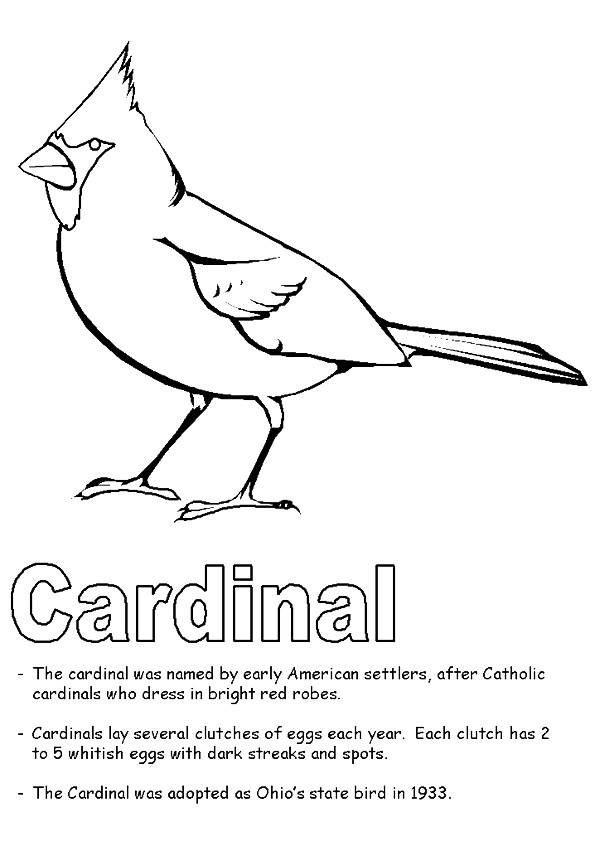 cardinal-coloring-page-0009-q2