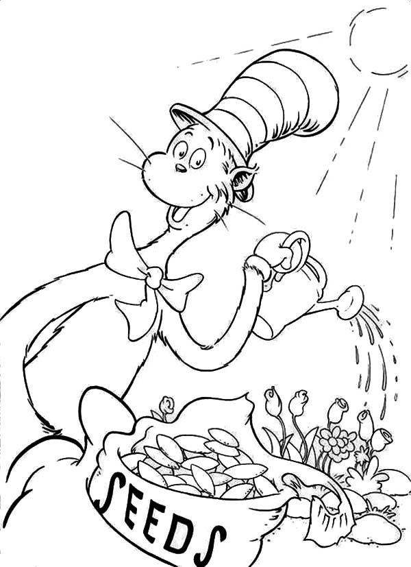 cat-in-the-hat-coloring-page-0039-q1
