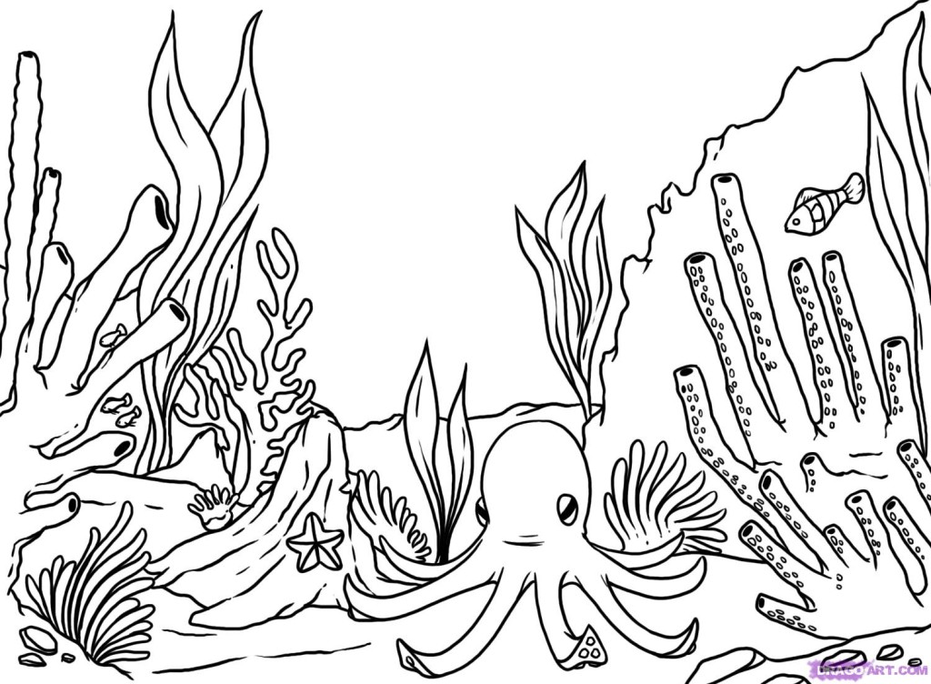 coral-coloring-page-0004-q1