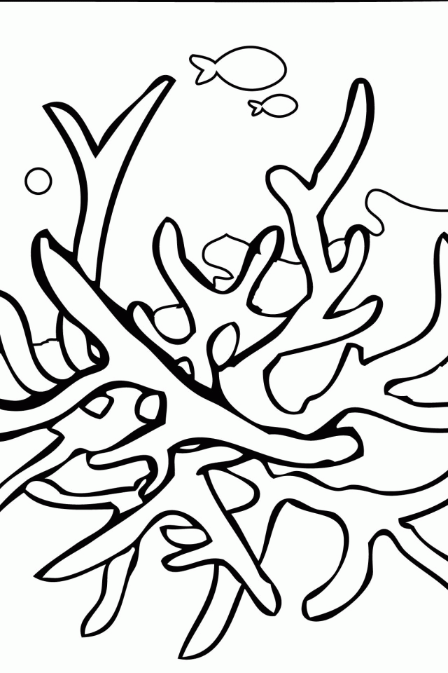 Free Printable Coral Fan And Nautilus Coloring Pages