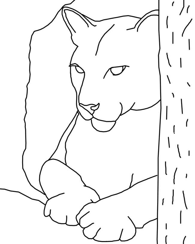 cougar-coloring-page-0011-q1