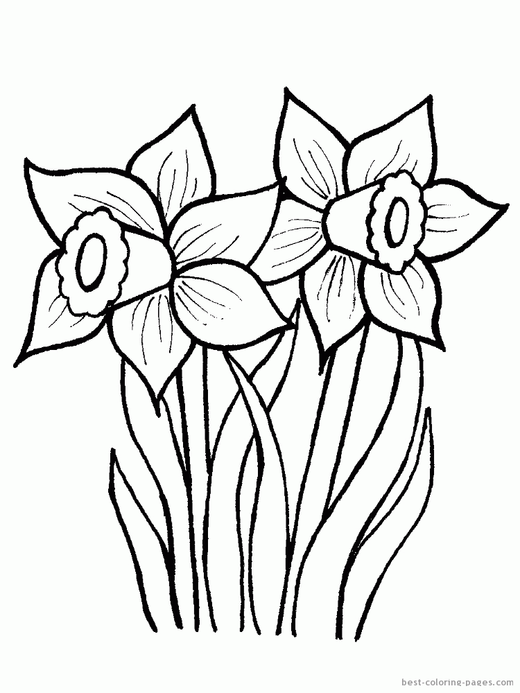 daffodil-coloring-page-0015-q1