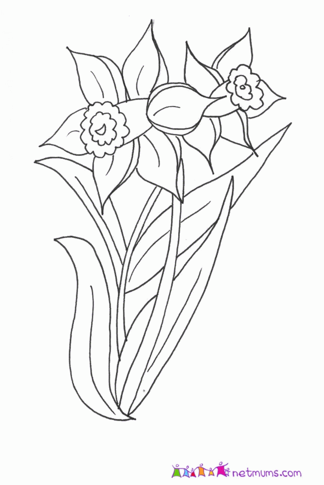 daffodil-coloring-page-0022-q1