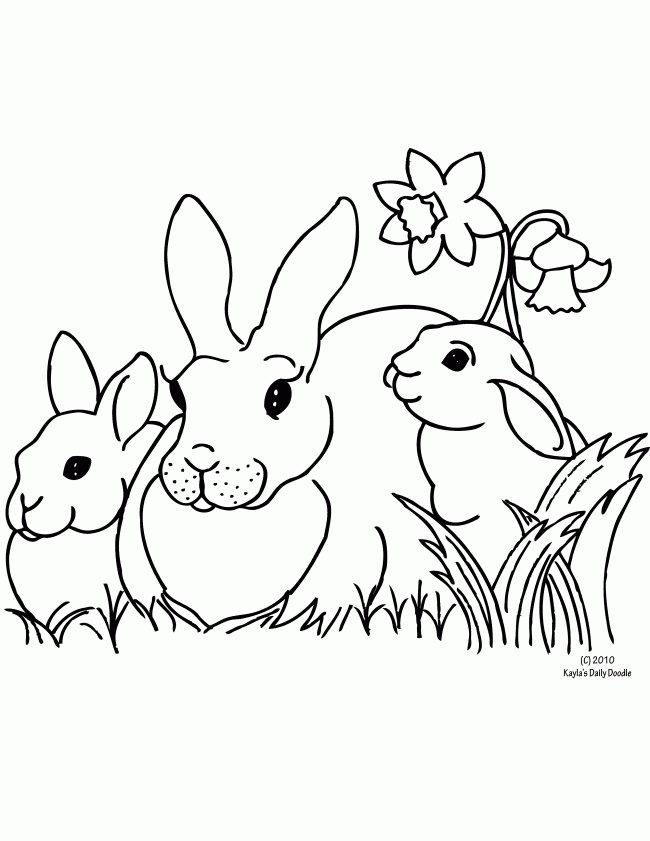 daffodil-coloring-page-0030-q1