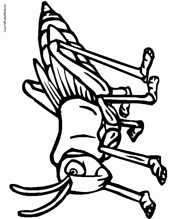 cricket-coloring-page-0006-q1