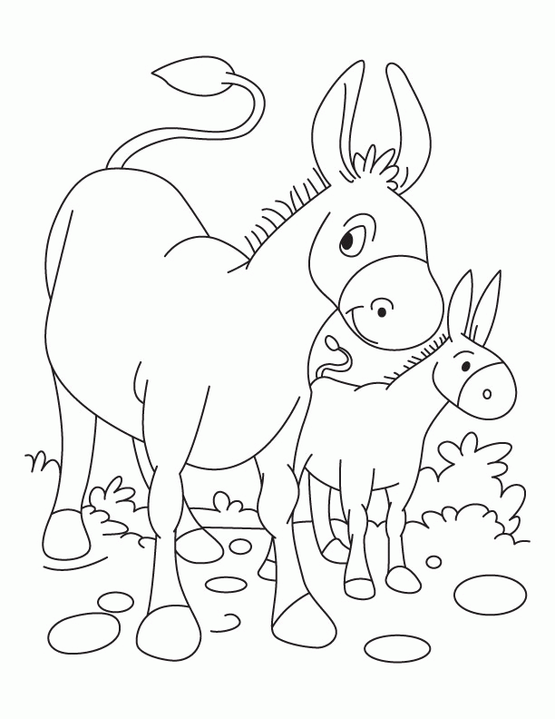 donkey-coloring-page-0016-q1