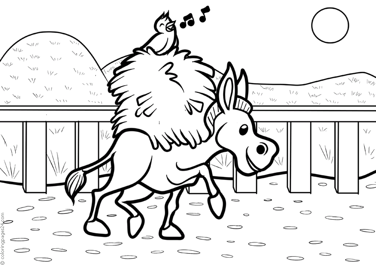 donkey-coloring-page-0026-q3