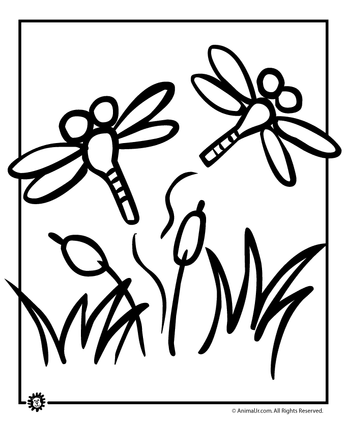 dragonfly-coloring-page-0033-q1