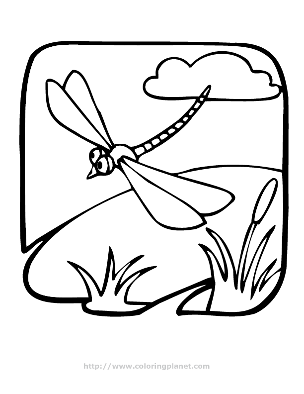 dragonfly-coloring-page-0034-q1