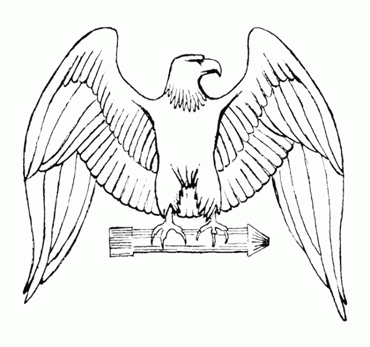 eagle-coloring-page-0013-q1