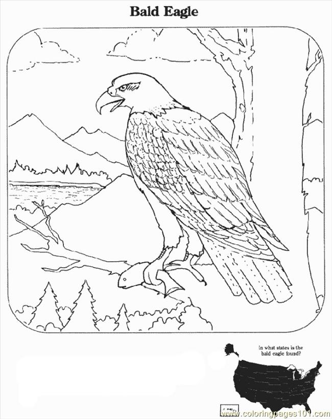 eagle-coloring-page-0019-q1