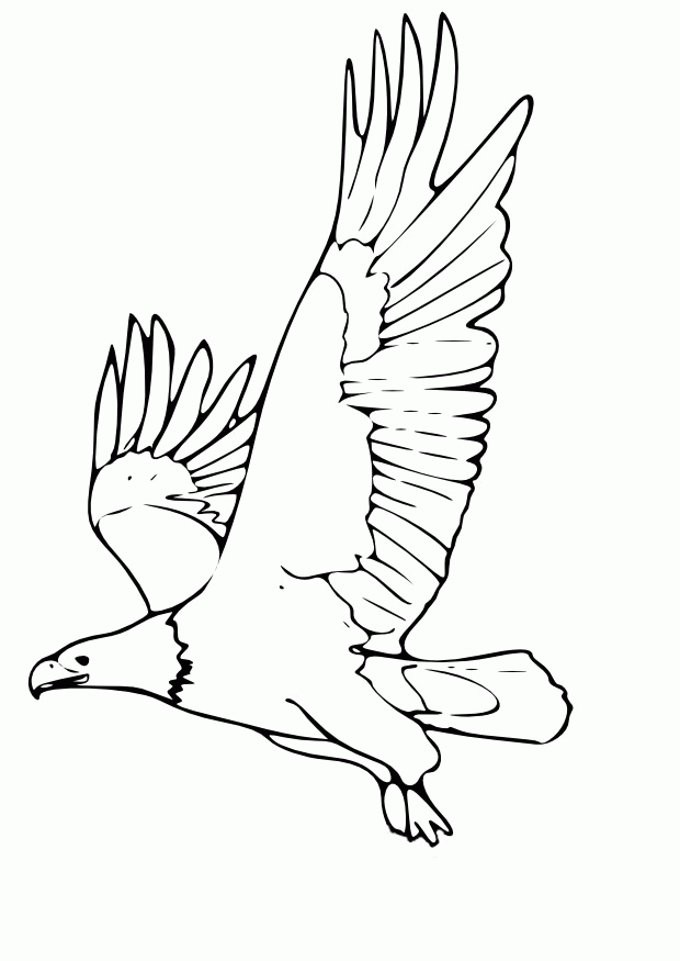 eagle-coloring-page-0042-q1