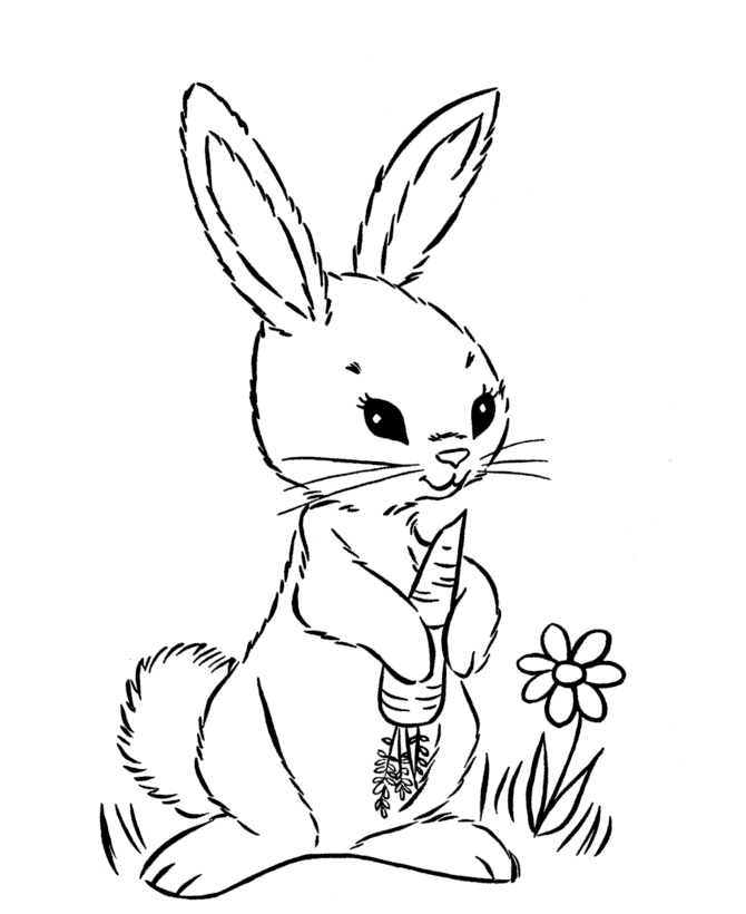 easter-bunny-coloring-page-0073-q1