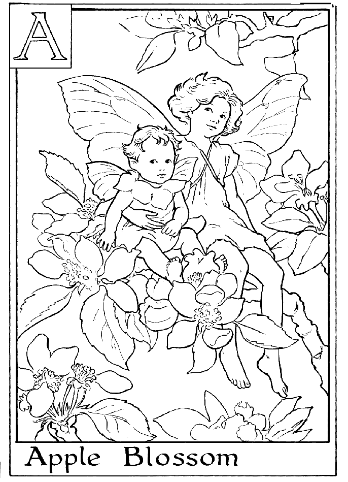 fairy-coloring-page-0035-q1