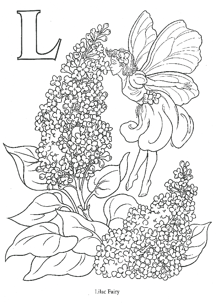 fairy-coloring-page-0137-q1