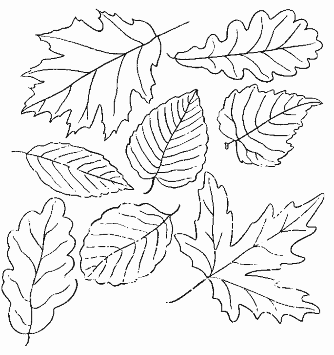 fall-autumn-coloring-page-0070-q1
