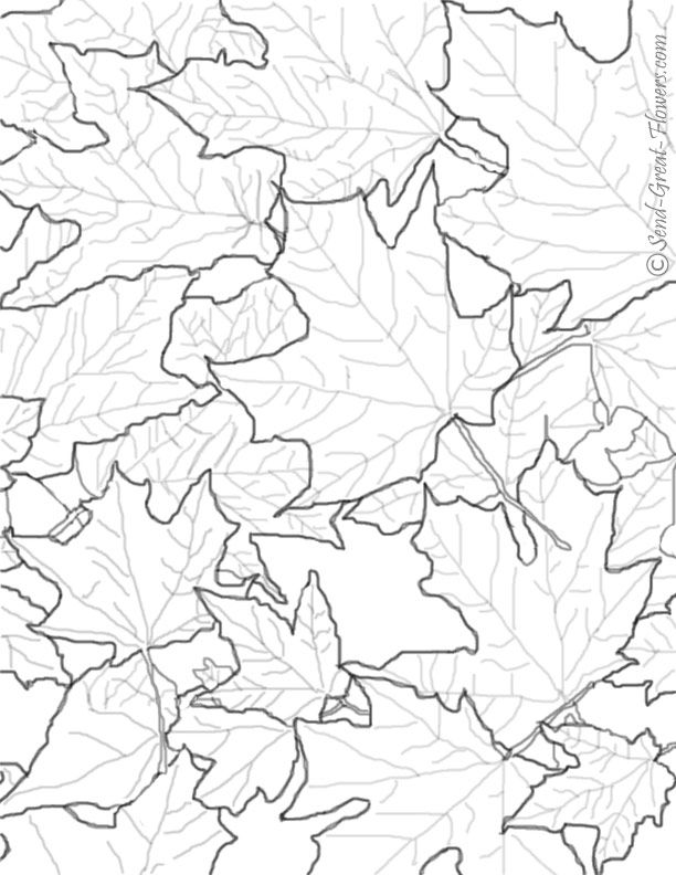 fall-autumn-coloring-page-0077-q1