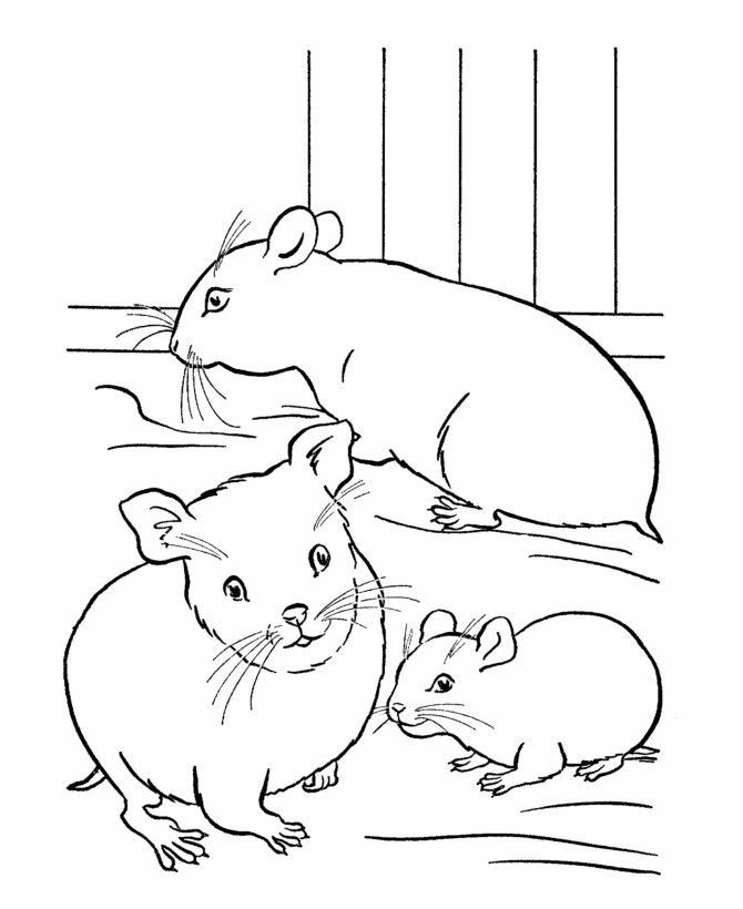 family-coloring-page-0061-q1