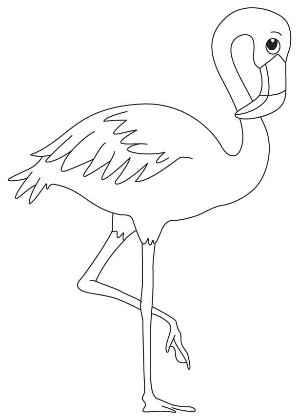 Flamingo: Coloring Pages & Books - 100% FREE and printable!