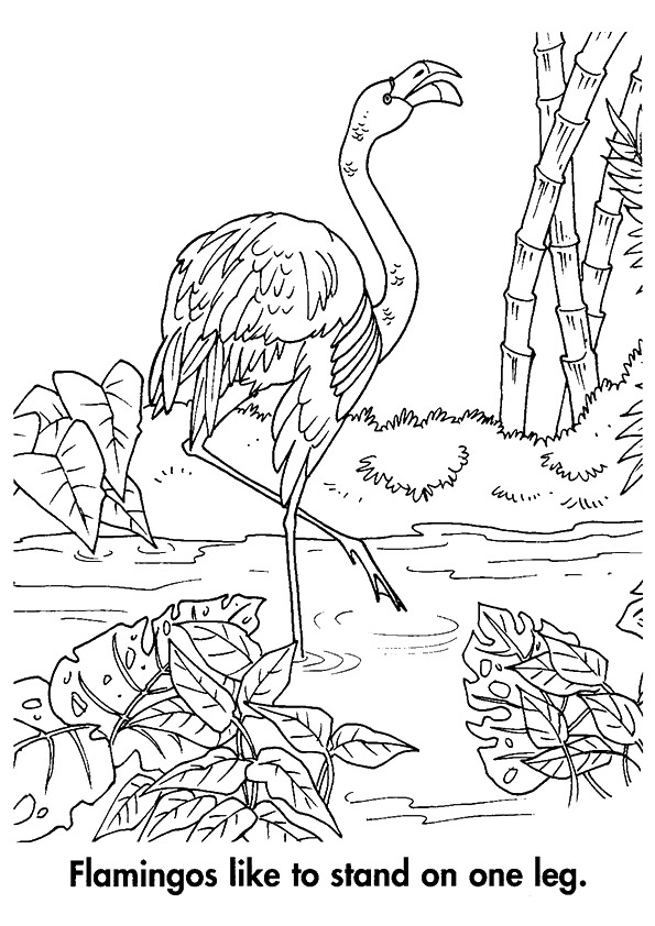 flamingo-coloring-page-0056-q2