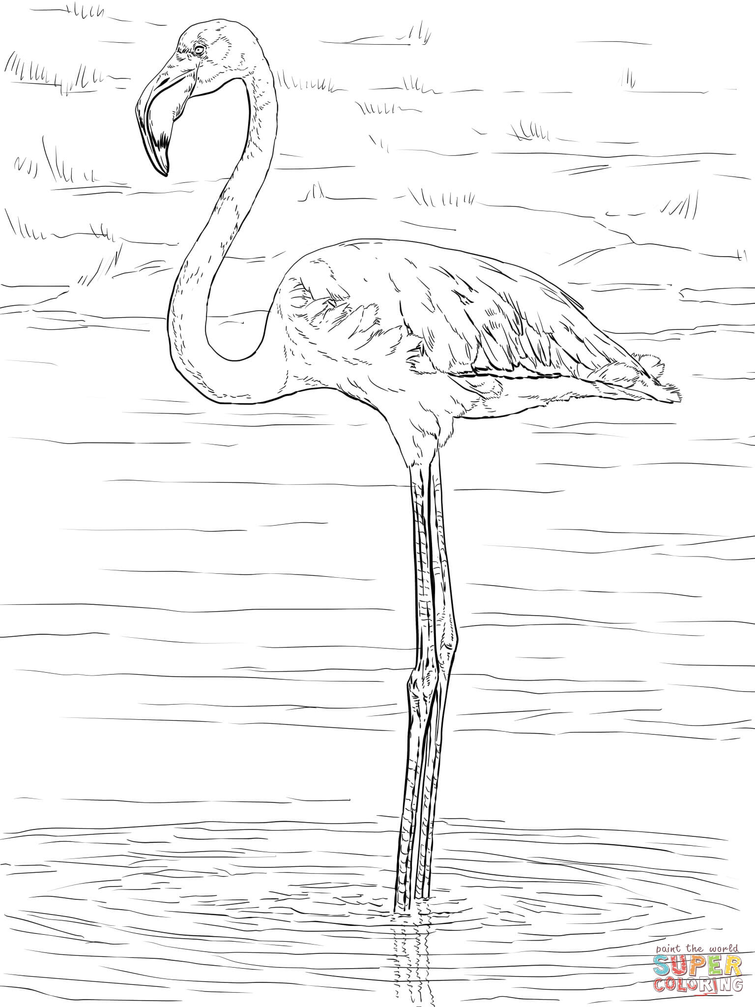 flamingo-coloring-page-0060-q1