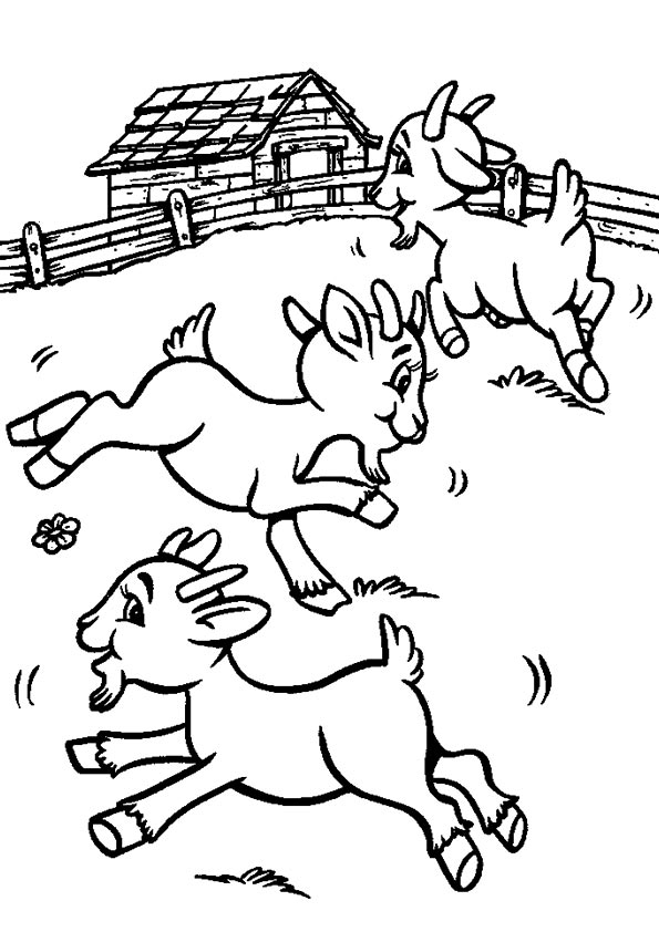 goat-coloring-page-0022-q2