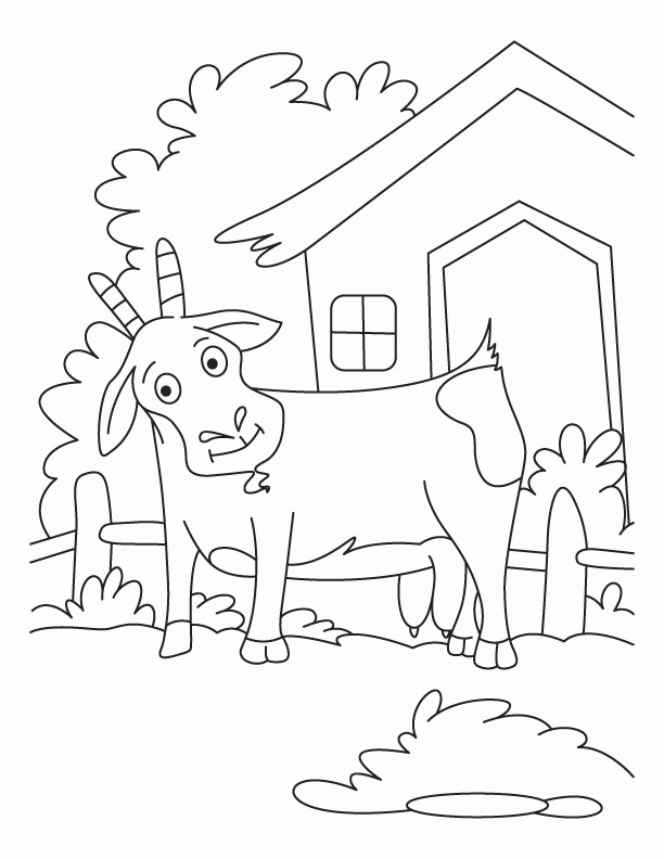 goat-coloring-page-0037-q1