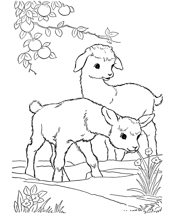 goat-coloring-page-0055-q1