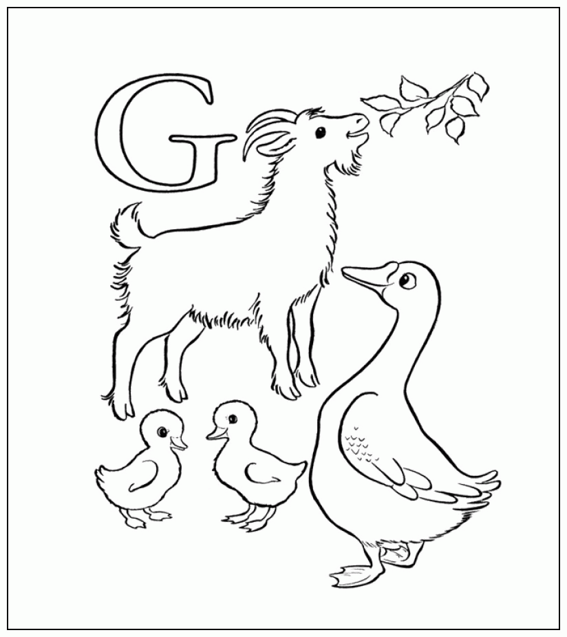 goose-coloring-page-0003-q1
