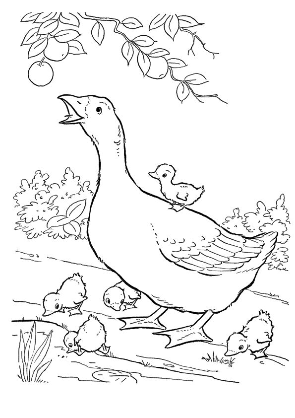 goose-coloring-page-0005-q2