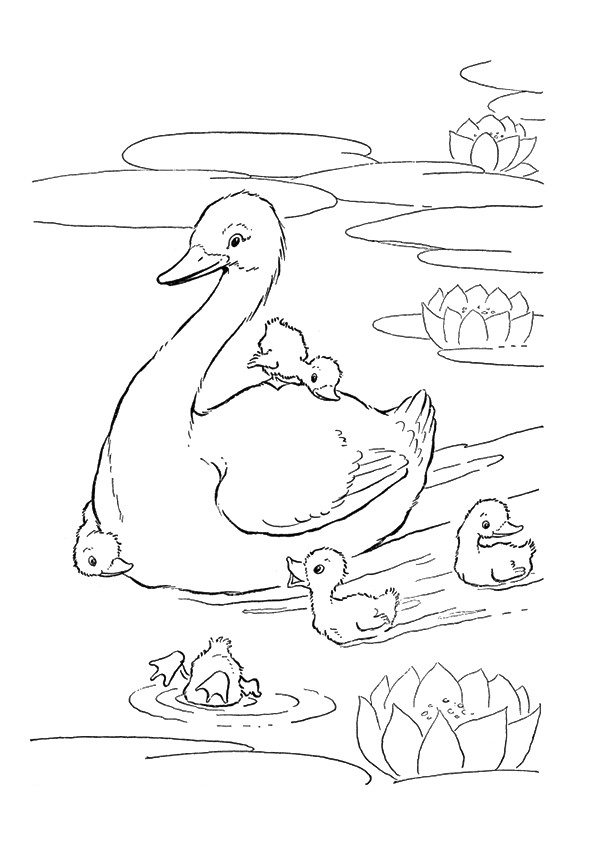 goose-coloring-page-0008-q2