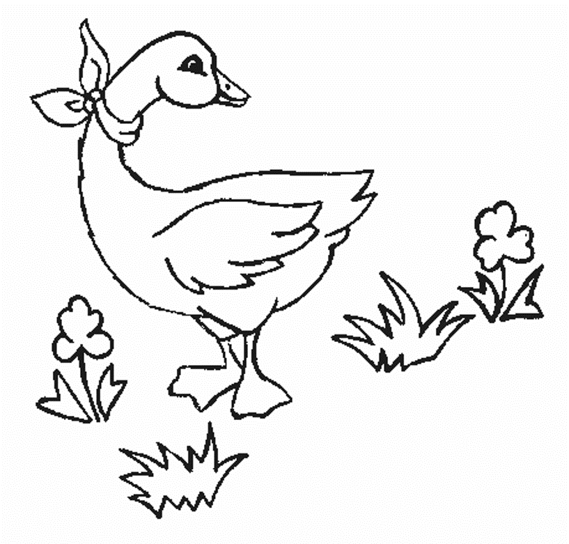 goose-coloring-page-0009-q1