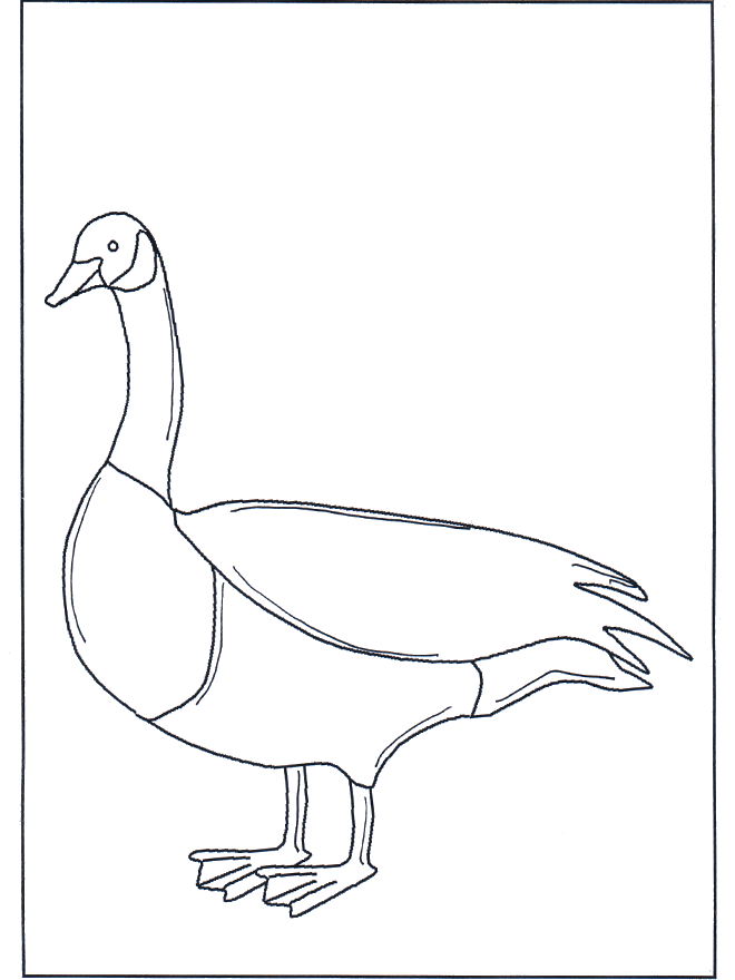 goose-coloring-page-0019-q1