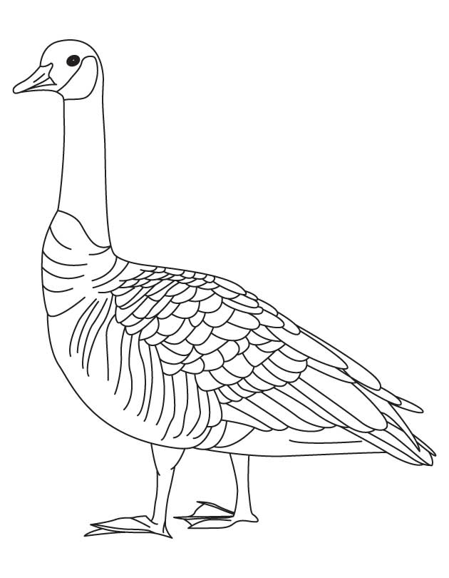 goose-coloring-page-0021-q1