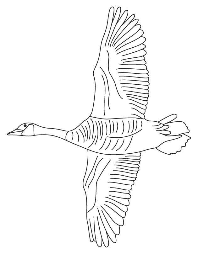 goose-coloring-page-0023-q1