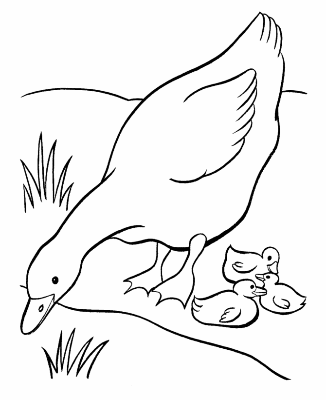 goose-coloring-page-0030-q1