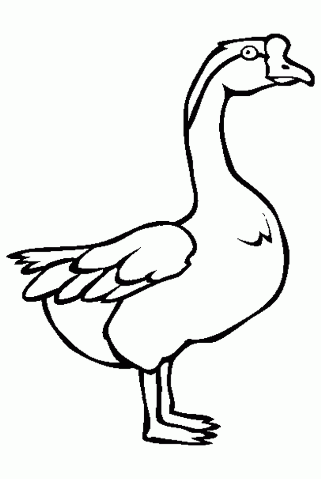 goose-coloring-page-0031-q1