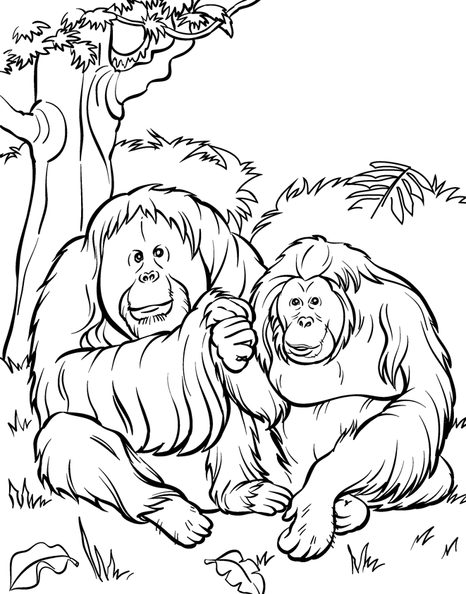 gorilla-coloring-page-0006-q1