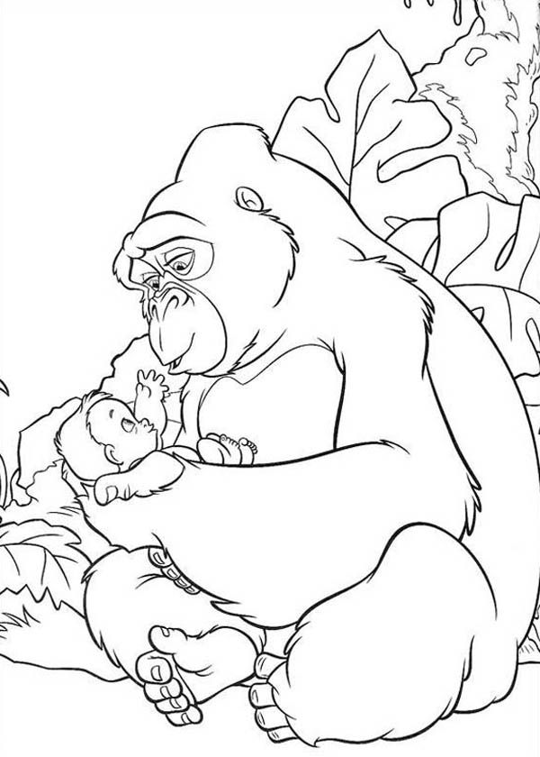 gorilla-coloring-page-0034-q1