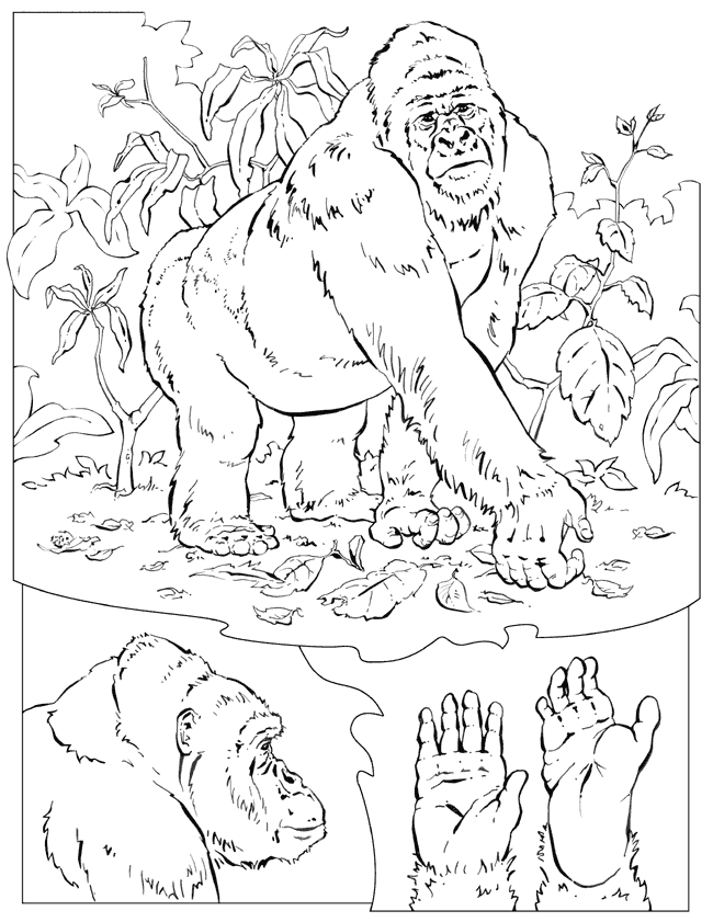 gorilla-coloring-page-0043-q1