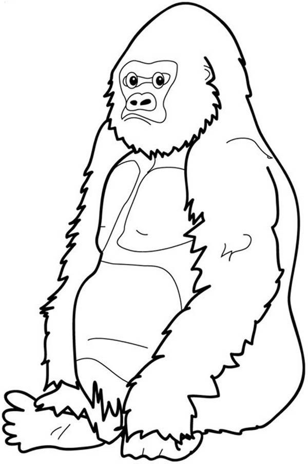 gorilla-coloring-page-0051-q1