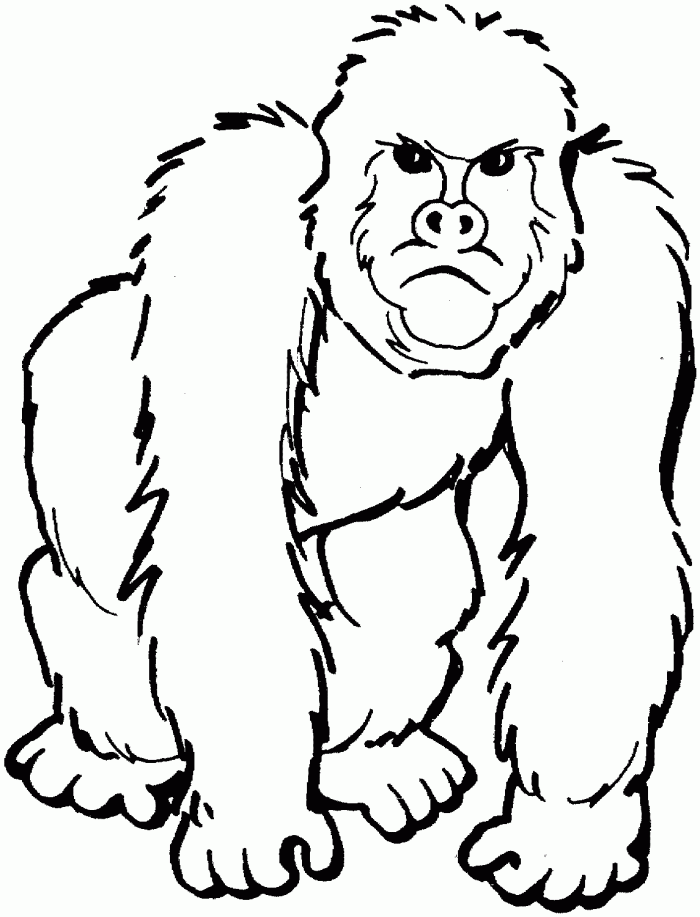 gorilla-coloring-page-0052-q1