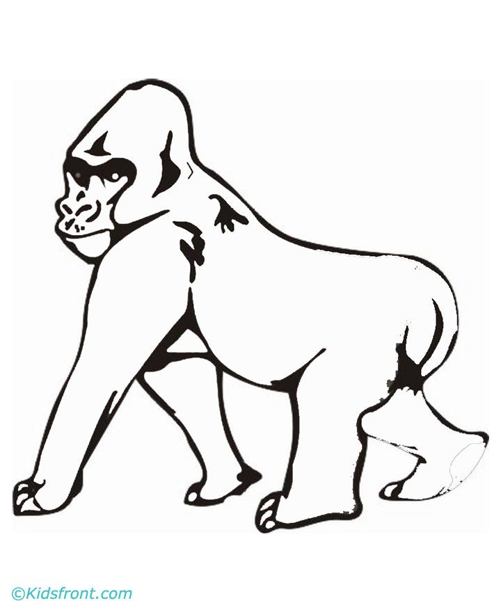 gorilla-coloring-page-0055-q1