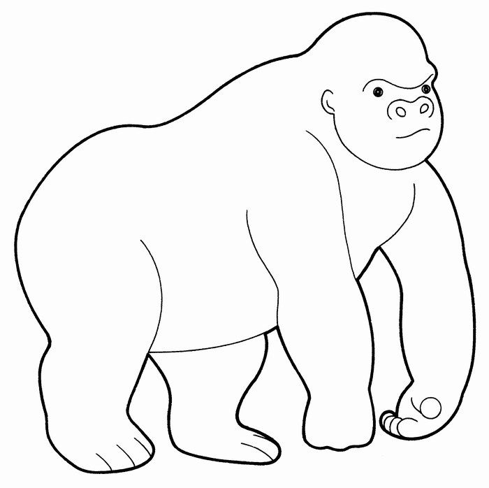 gorilla-coloring-page-0060-q1